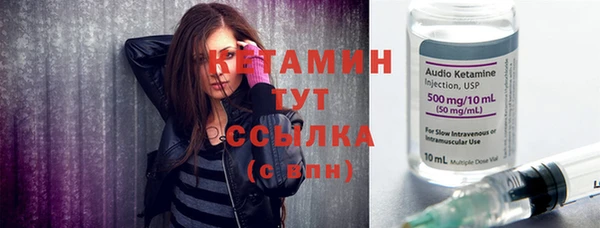 индика Гусиноозёрск