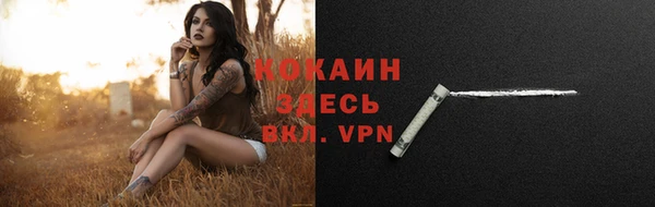 экстази Гусев