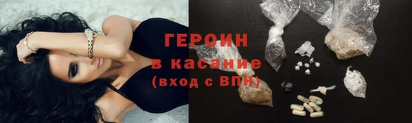индика Гусиноозёрск