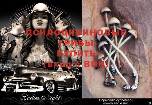 кокаин перу Горно-Алтайск