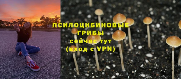 mix Гусь-Хрустальный
