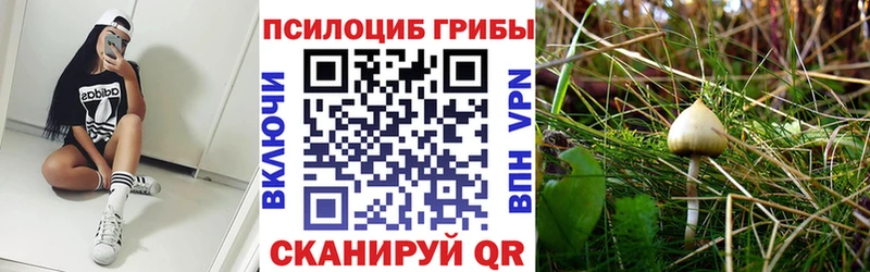 Купить где  Ахтубинск  Галлюциногенные грибы ЛСД 